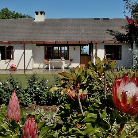 Heatherhill Farmhouse - Sea & Mountain Views เพลตเตนเบิร์กเบย์ ภายนอก รูปภาพ