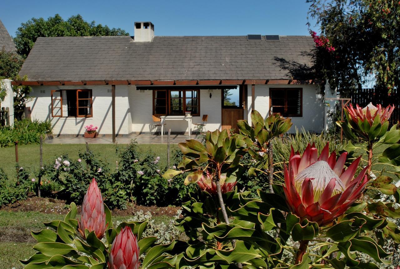Heatherhill Farmhouse - Sea & Mountain Views เพลตเตนเบิร์กเบย์ ภายนอก รูปภาพ