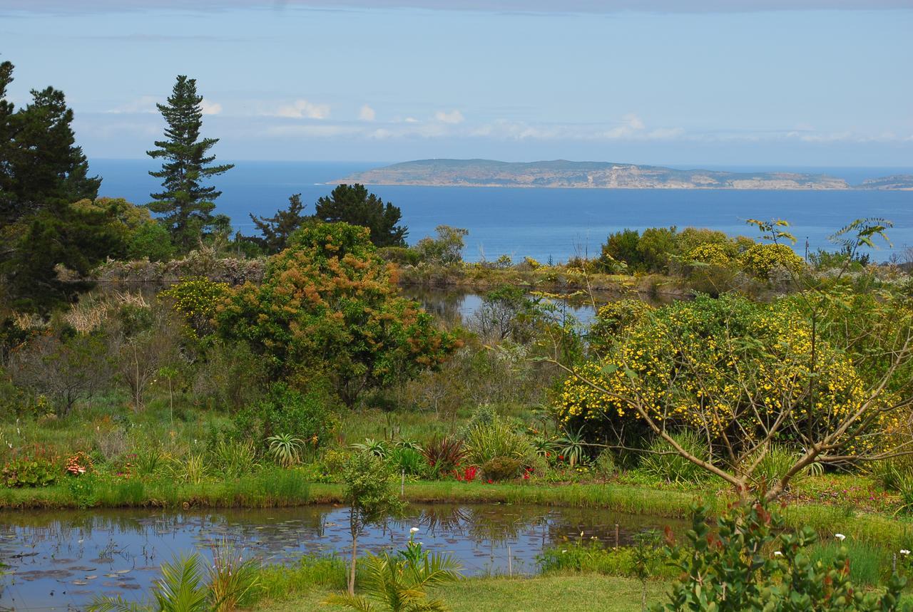 Heatherhill Farmhouse - Sea & Mountain Views เพลตเตนเบิร์กเบย์ ภายนอก รูปภาพ