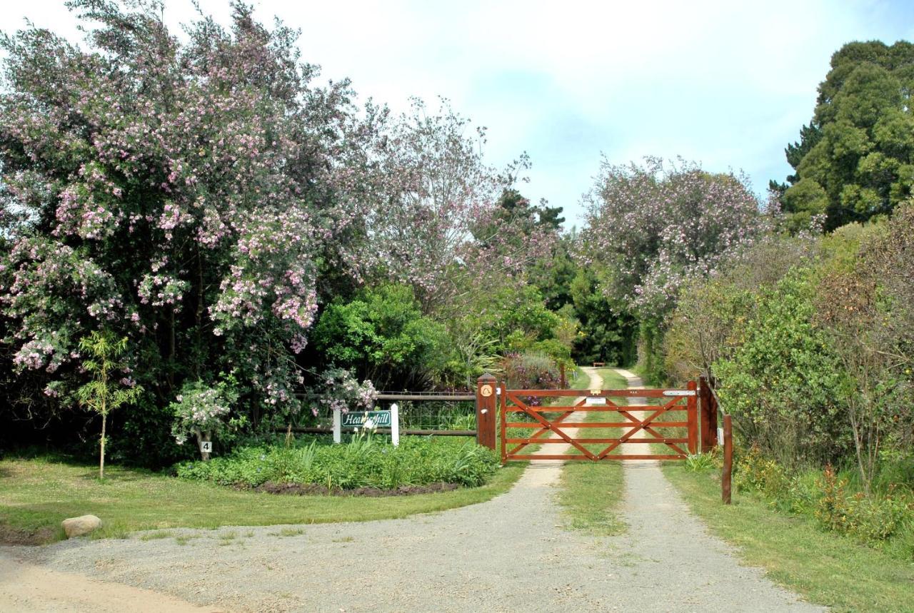 Heatherhill Farmhouse - Sea & Mountain Views เพลตเตนเบิร์กเบย์ ภายนอก รูปภาพ