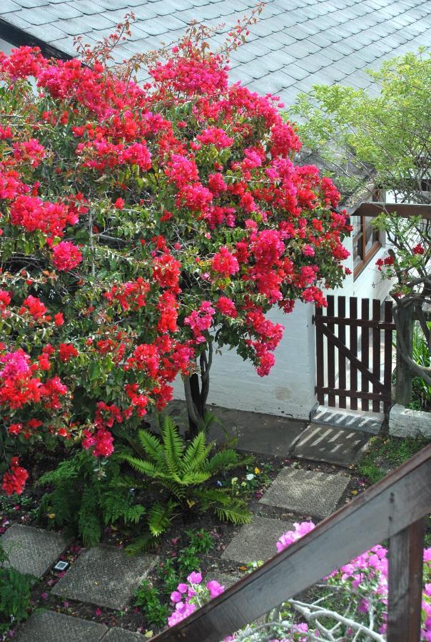 Heatherhill Farmhouse - Sea & Mountain Views เพลตเตนเบิร์กเบย์ ภายนอก รูปภาพ